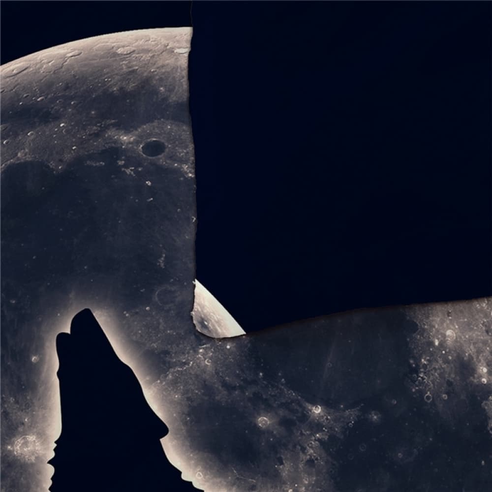 Parure de lit Moon Wolf 39671 c304a0