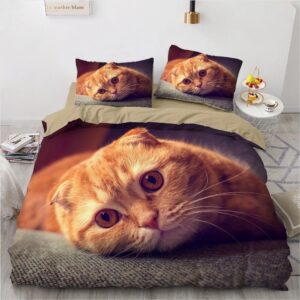 Parure de lit chat roux. Bonne qualité, confortable et à la mode sur un lit dans une maison