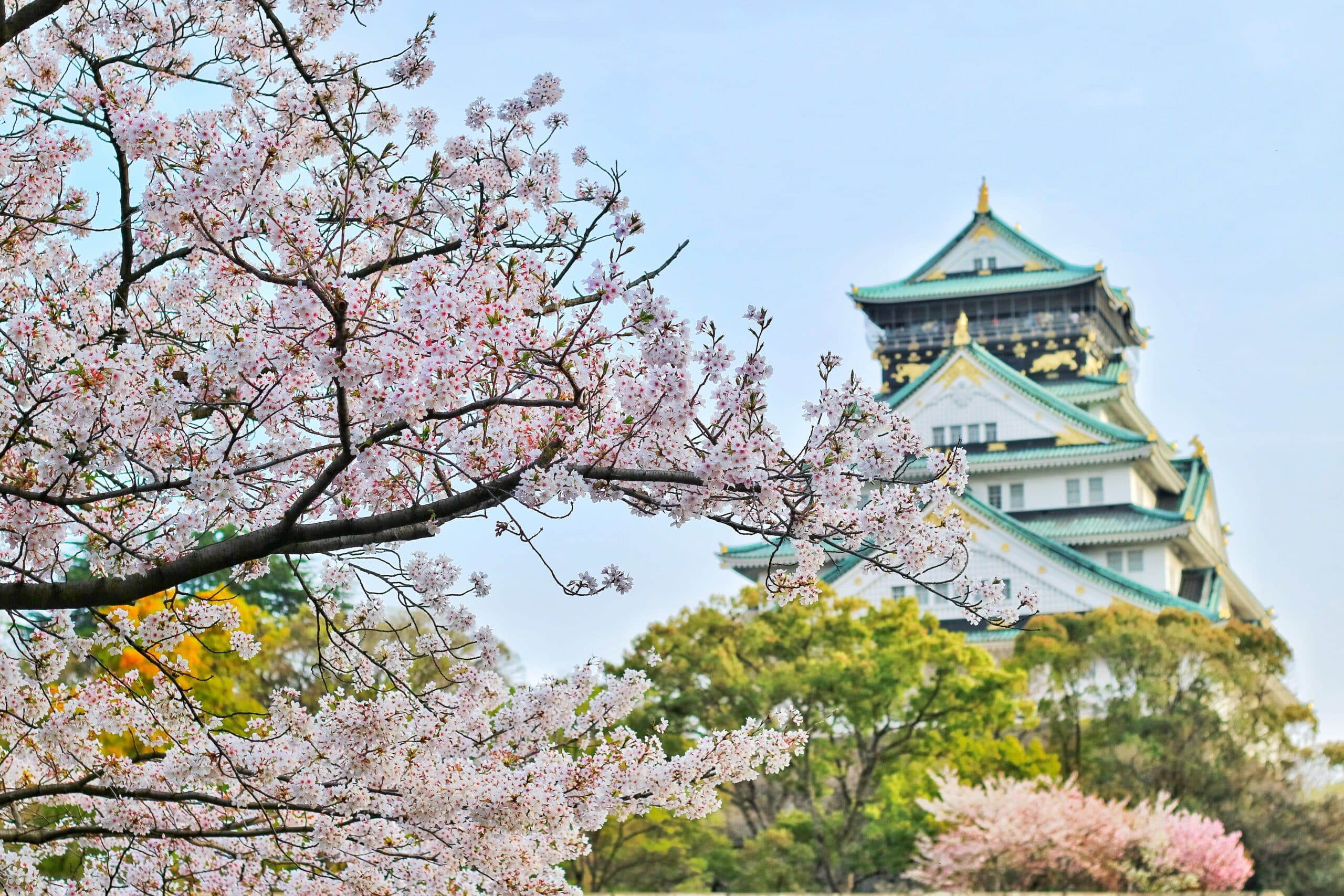 Parure de lit japon violet pexels bagus pangestu 1440476 scaled