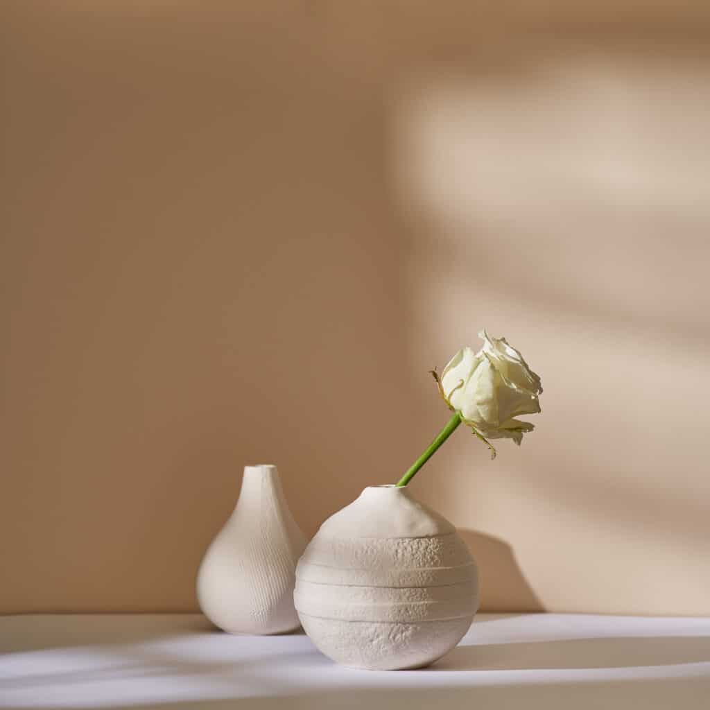 Parure de lit terracotta reversible white rose in ceramic vase against beige wall