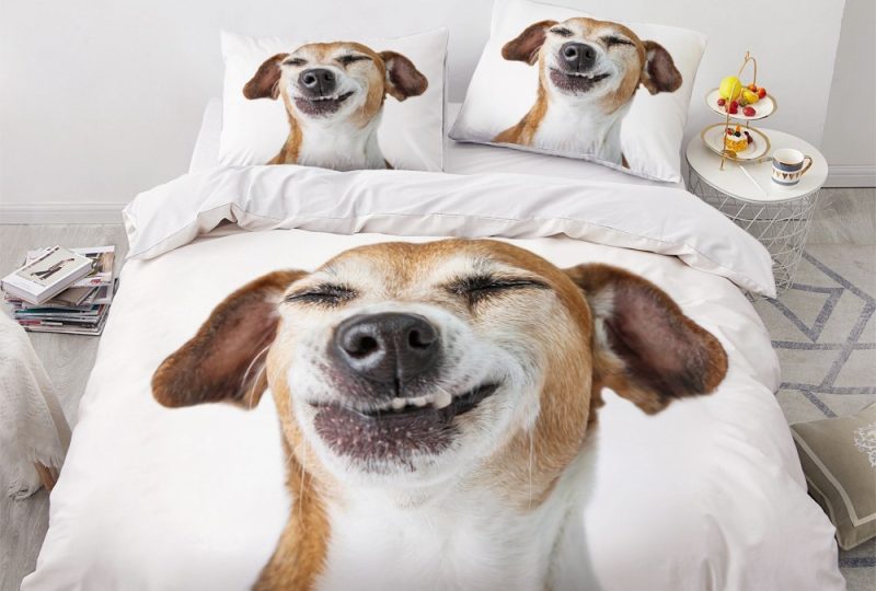 Parure de lit chien qui sourit. Bonne qualité, confortable et à la mode sur un lit dans une maison