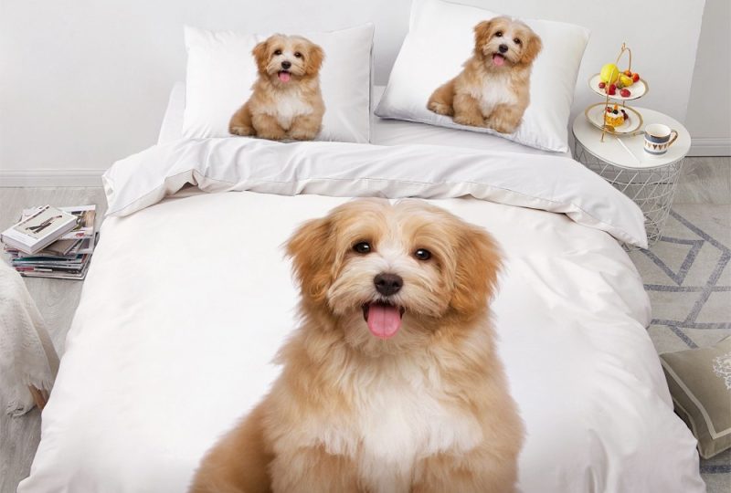 Parure de lit chiot qui tire la langue. Bonne qualité, confortable et à la mode sur un lit dans une maison