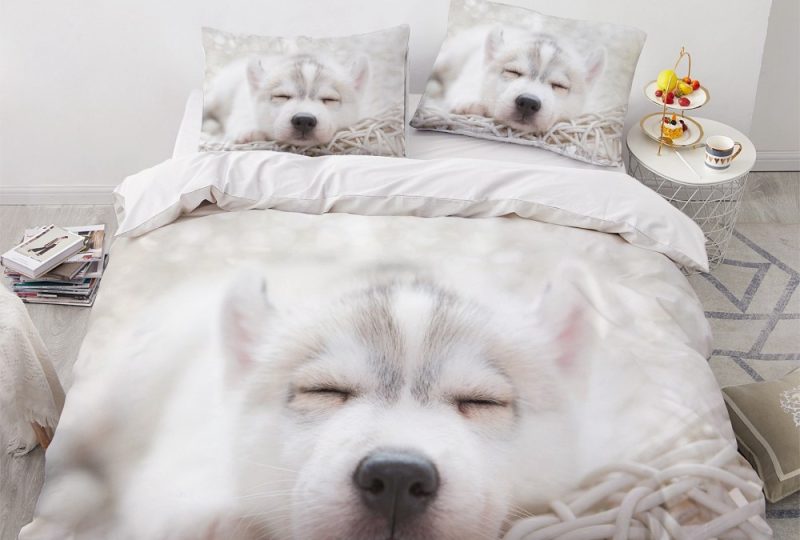 Parure de lit chiot qui dort. Bonne qualité, confortable et à la mode sur un lit dans une maison
