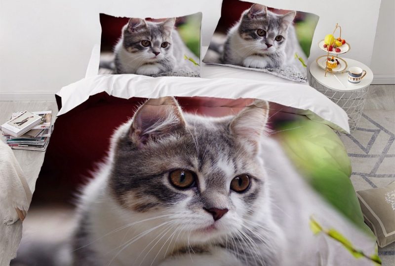 Parure de lit motif chaton mignon. Bonne qualité, confortable et à la mode sur un lit dans une maison