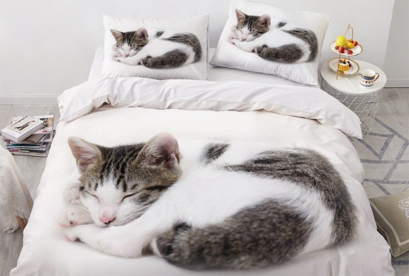 Parure de lit chat qui dort. Bonne qualité, confortable et à la mode sur un lit dans une maison