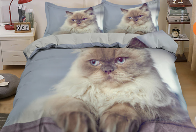 Parure de lit chat persan siamois. Bonne qualité, confortable et à la mode sur un lit dans une maison