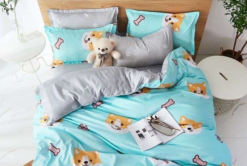 shiba